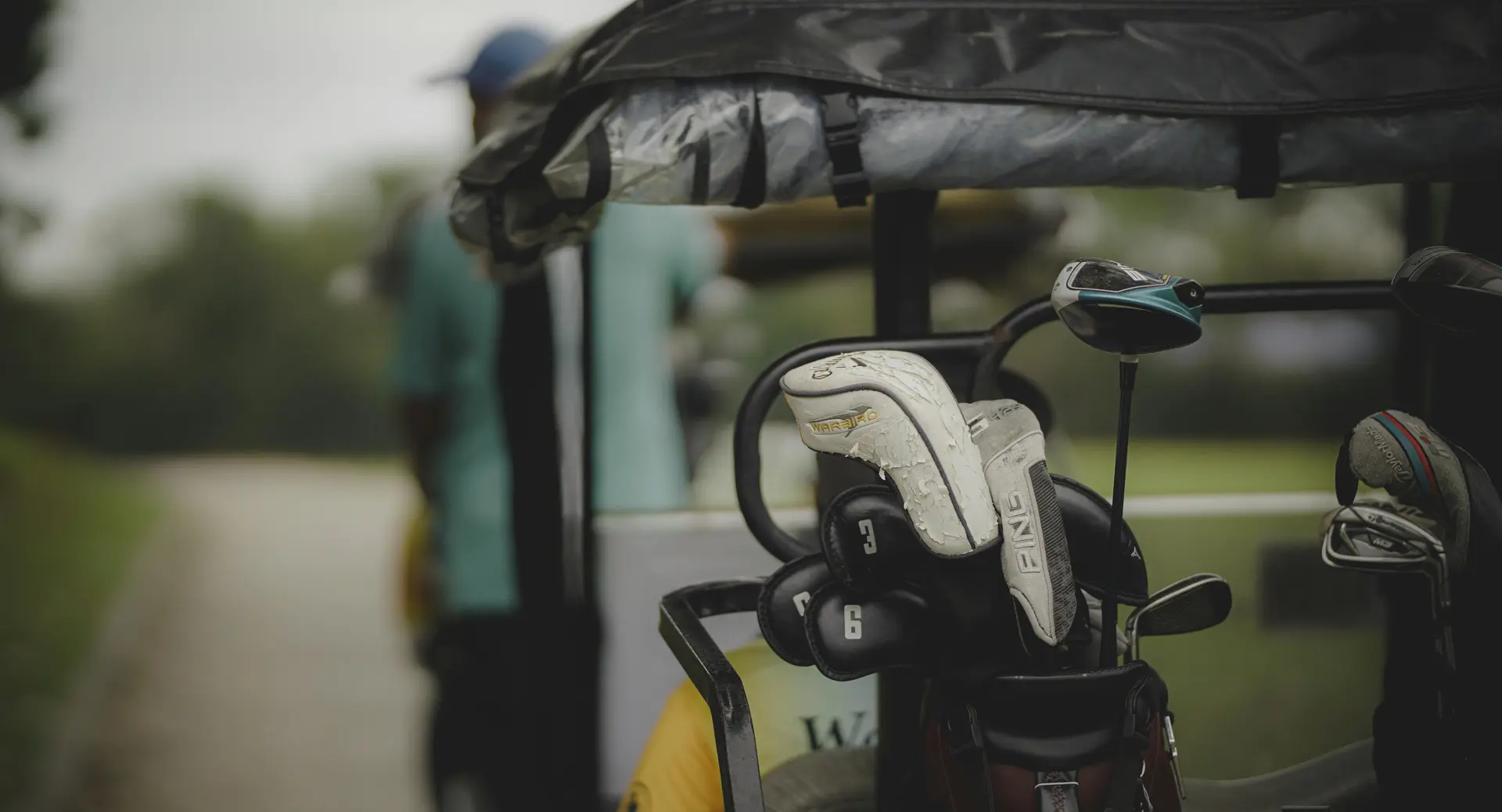 Recommended Golf Cart in Del Valle, TX